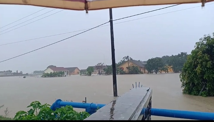 Hektar Sawah Di Subang Jabar Dilanda Banjir